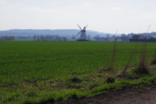 Windmühle in Veltheim